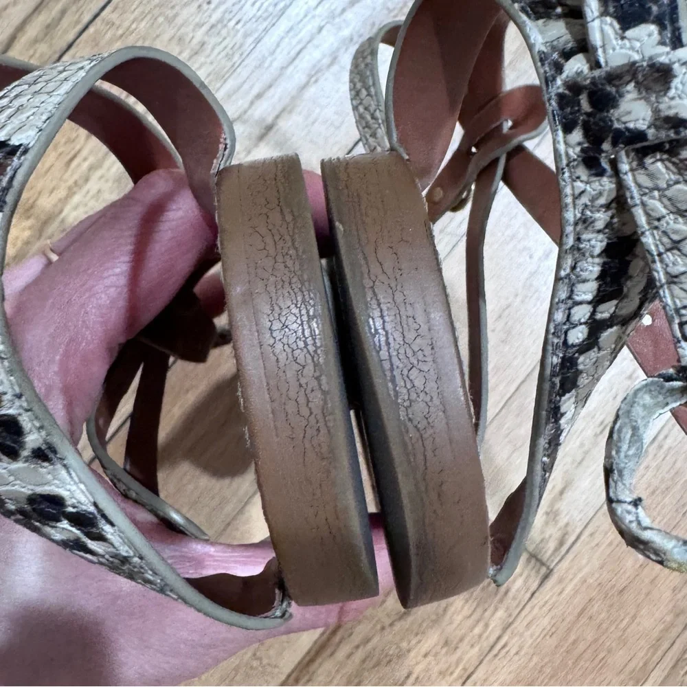 COACH Snake Print Sandals in size 7.5